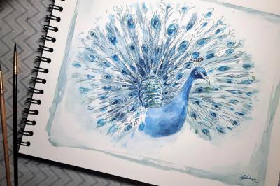 Stage aquarelle loir et cher