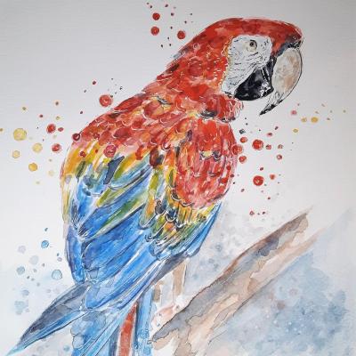 Stage aquarelle loir et cher
