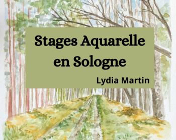 Stage aquarelle en loir et cher 41